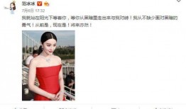 爆料范冰冰负面 最新,揭秘娱乐圈最新爆料真相